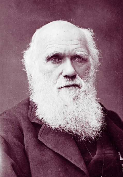 Original photograph of Charles Darwin with white beard